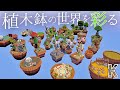 【Minecraft】植木鉢の世界を彩る【マイクラ建築】