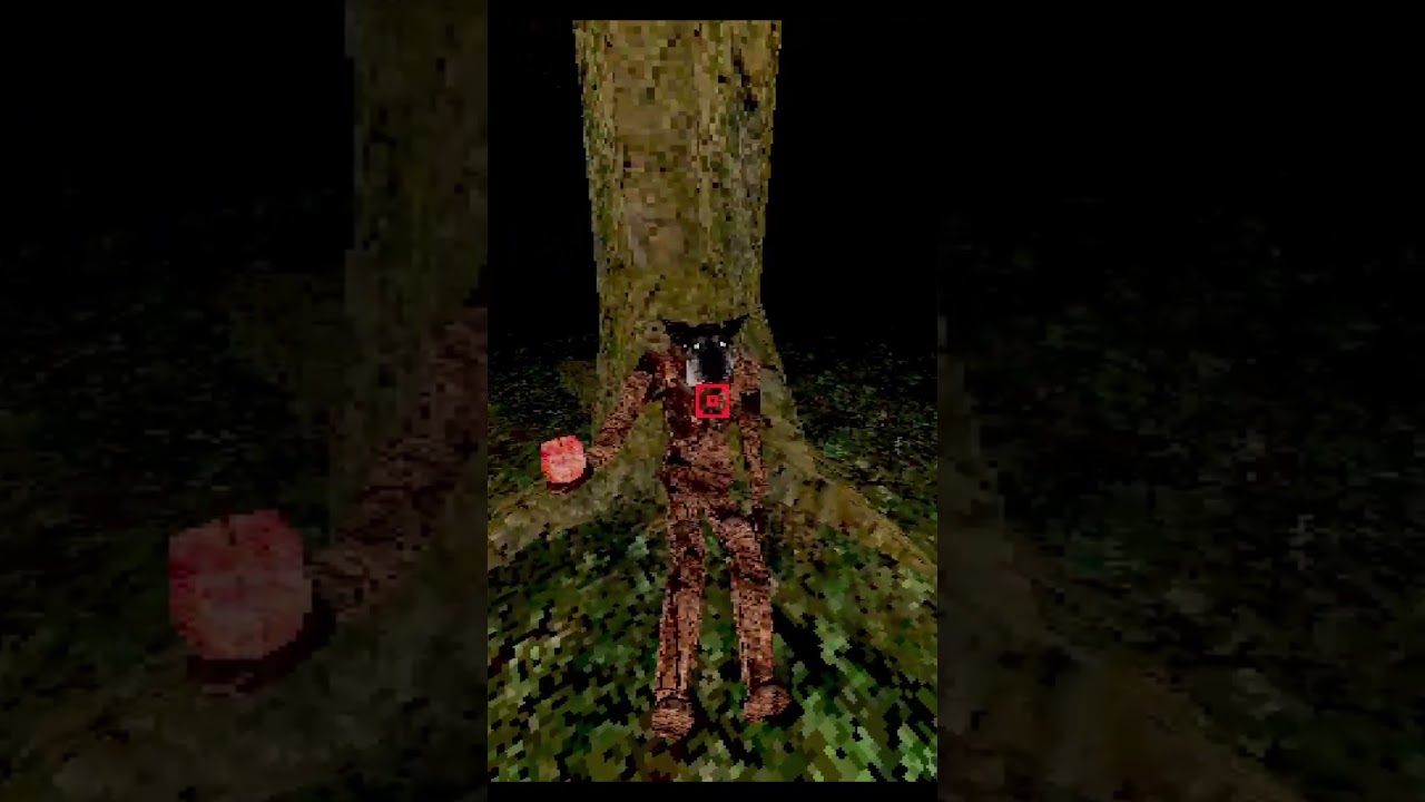 Did you see THAT?! 😱 