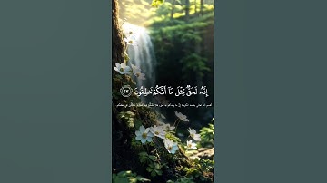 {سورة الذاريات} {آية 21}المقرئ اسلام صبحي #سورة_الذاريات #اسلام_صبحي #القران #متابعه
