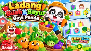 SERUNYA BERKEBUN! Ladang Buah & Sayur Bayi Panda | Game Edukasi Anak #gamebabybus #gaming #gameplay  screenshot 3