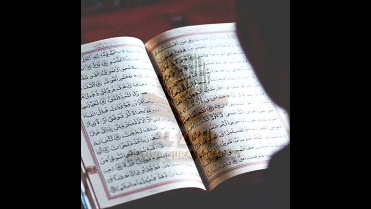 🤍Surah Rahman🤍 📖 ( shakh raad ul kudri) 🌙 #motivation #quotes #quranrecitation #everyone 