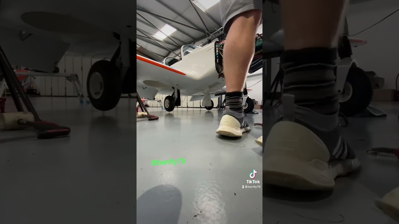 Alpi Aviation Pioneer 300 undercarriage maintenance checks