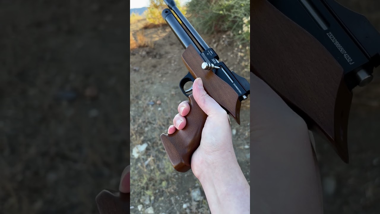 Diana Airbug .22 pellet gun