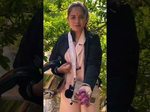 आ जाओ पहाड़ी फ्रूट खालो || किस किस को इसका नाम पता है जल्दी से कॉमेंट में बताओ #uk04wali #pahadi