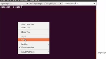Introduction to Cisco NX-API - Part 2