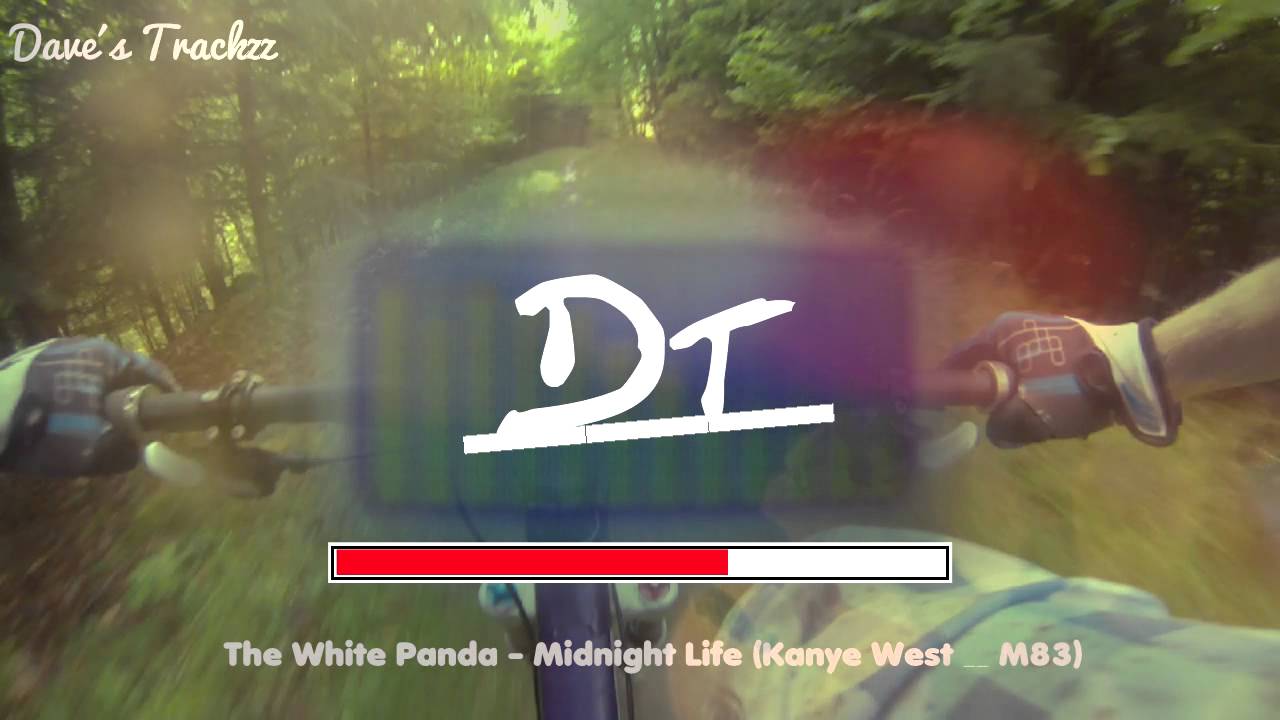 The White Panda Midnight Life Lyrics