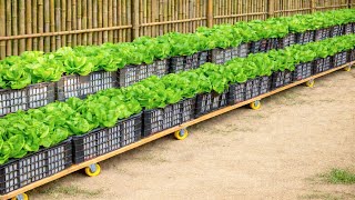 Still Wasting Space To Grow Lettuce? Try This Instead