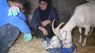 Download Lagu Heartbreaking Moments: Master Builder and Grandmother in Crisis MP3