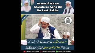 Hazrat ji R.a Ke Khulafa Ke Baare Me Dil Ko Paak Rakhe| Short #312 | Shaikh Salahuddin Saifi D.B