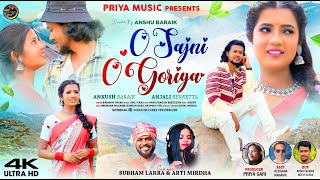 O Sajani O Goriya Singer - Subham Lakra & Arti Mirdha