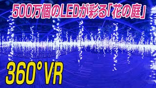 【360°VR】500万個のLEDが彩る「花の庭」　栃木・あしかがフラワーパーク