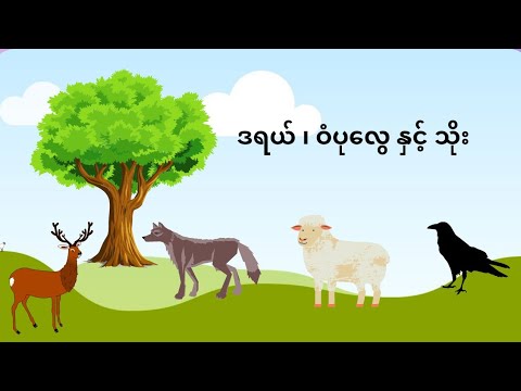 ဒရယ် ၊ ဝံပုလွေ နှင့် သိုး ပုံပြင်