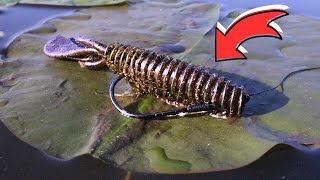 Catch 90% Of The BASS in Lily Pads With This TRICK!