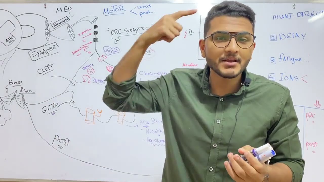 Neuromascular Junction | Dr Nageeb