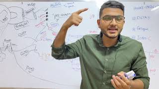 Neuromascular Junction | Dr Nageeb