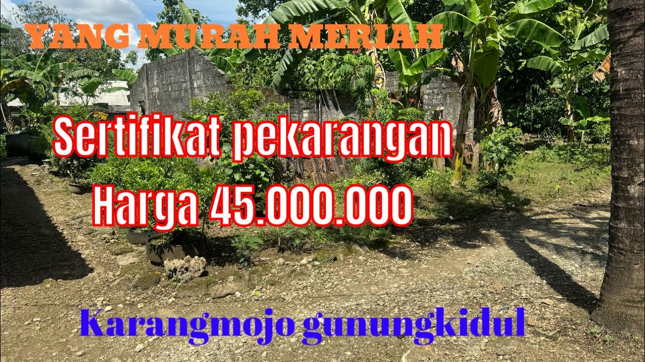 DI JUAL HARGA 45 JUTA RUPIAH LUAS 260 METER SERTIFIKAT PEKARANGAN @rajiproperty channel