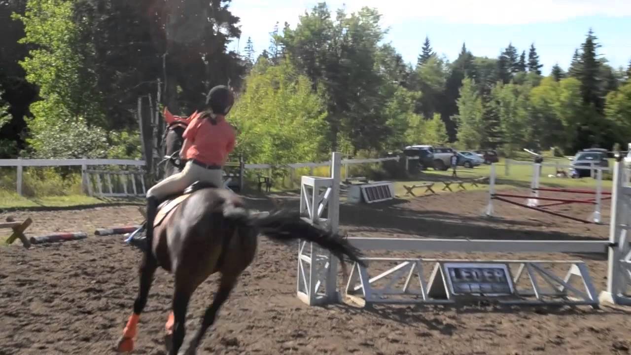 Mane Event Clinic Application 2015 - YouTube