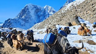Download Lagu Landscape Changes On the EBC Trek - Lukla to Everest Base Camp MP3