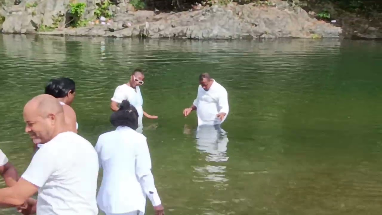 CUARTA COSECHA 2025 PARTE DOS