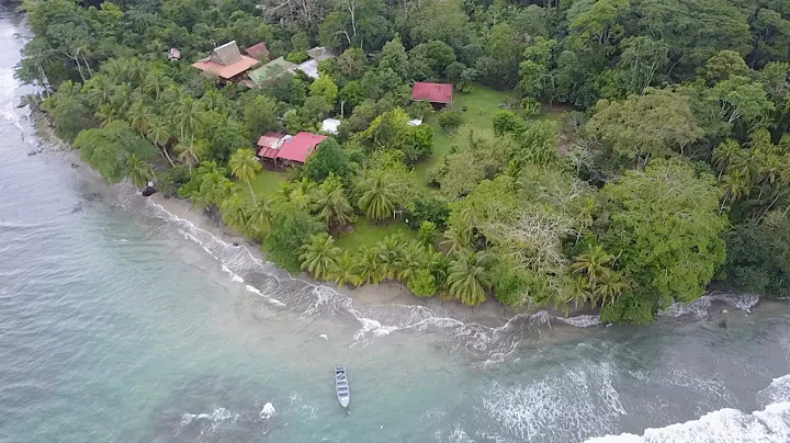 Oceanfront Permaculture Farm & Ecovillage | Punta ...