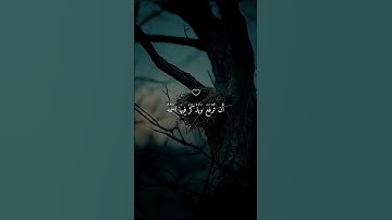 تلاوة خاشعة للشيخ #ماهر_المعيقلي #قرآن #اكسبلور #القرآن_الكريم