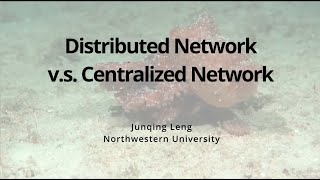 Distributed/Centralized neuron network, who is better