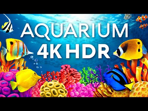 Видео: лучший расслабляющий аквариум в 4K HDR 🐠 Anti-Stress Music, Relax and Meditation.
