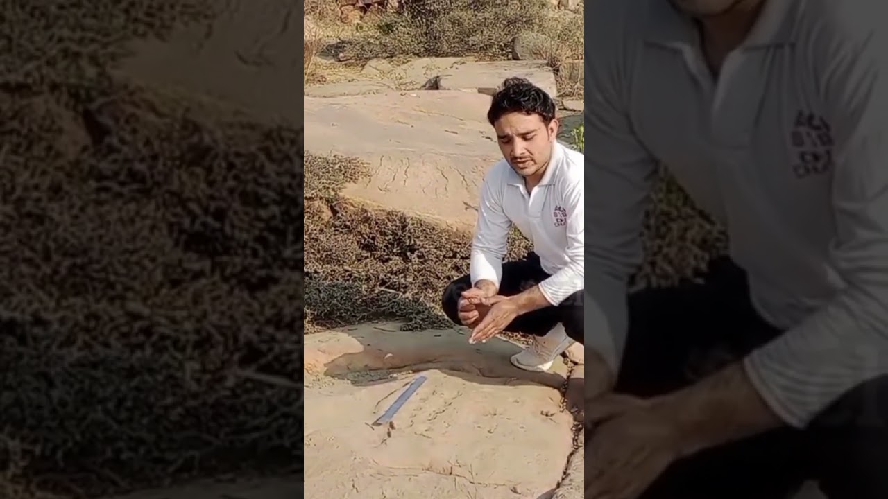 पुरातन इतिहास समेटकर लुप्त हो रहे हैं कप मा‌र्क्स 