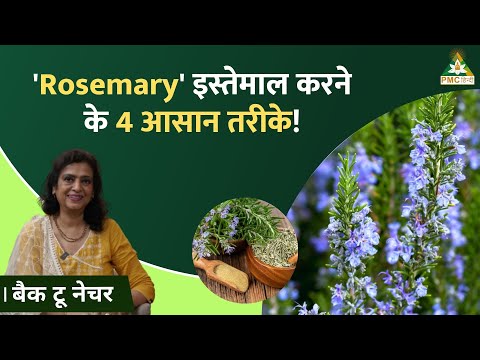 4 Simple Rosemary Hacks for Hair, Skin & Health! | Back to Nature | PMC Hindi #pmchindi #health