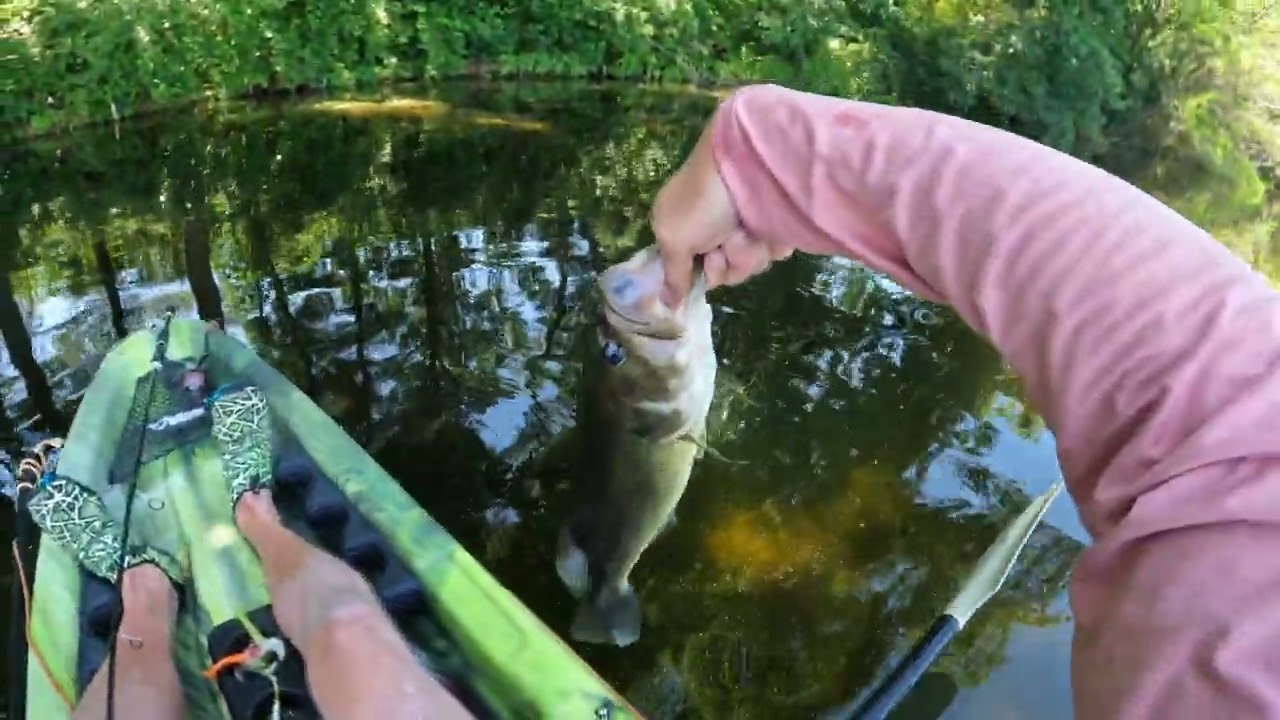 Burns & Break-offs: Bass Fishing on a Warm Summer Morning
