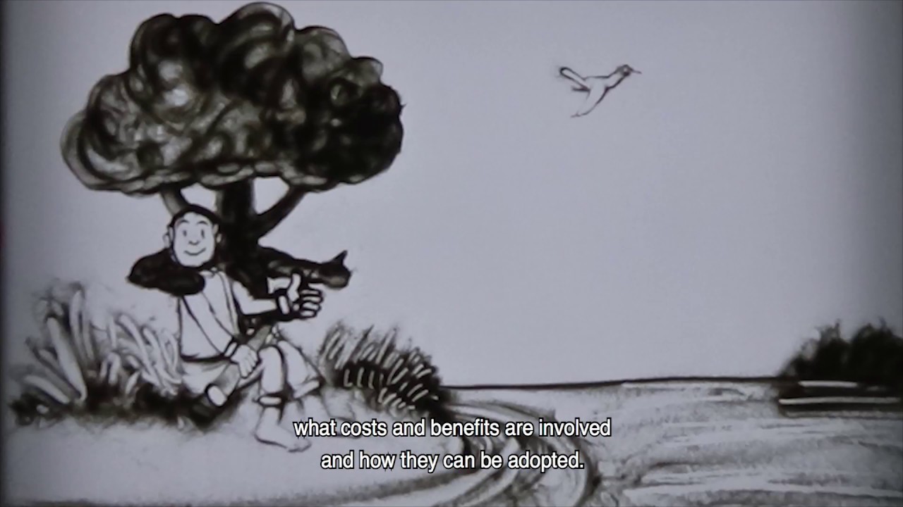 Building with Nature