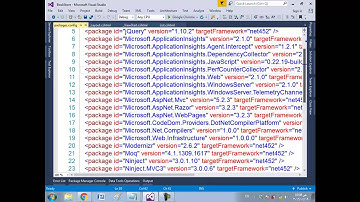 65 ASP NET MVC Course   Bookstore real application   Styling the Content and Applying Styles to the