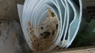 One Hour Wasp Nest *NO ADS* screenshot 5