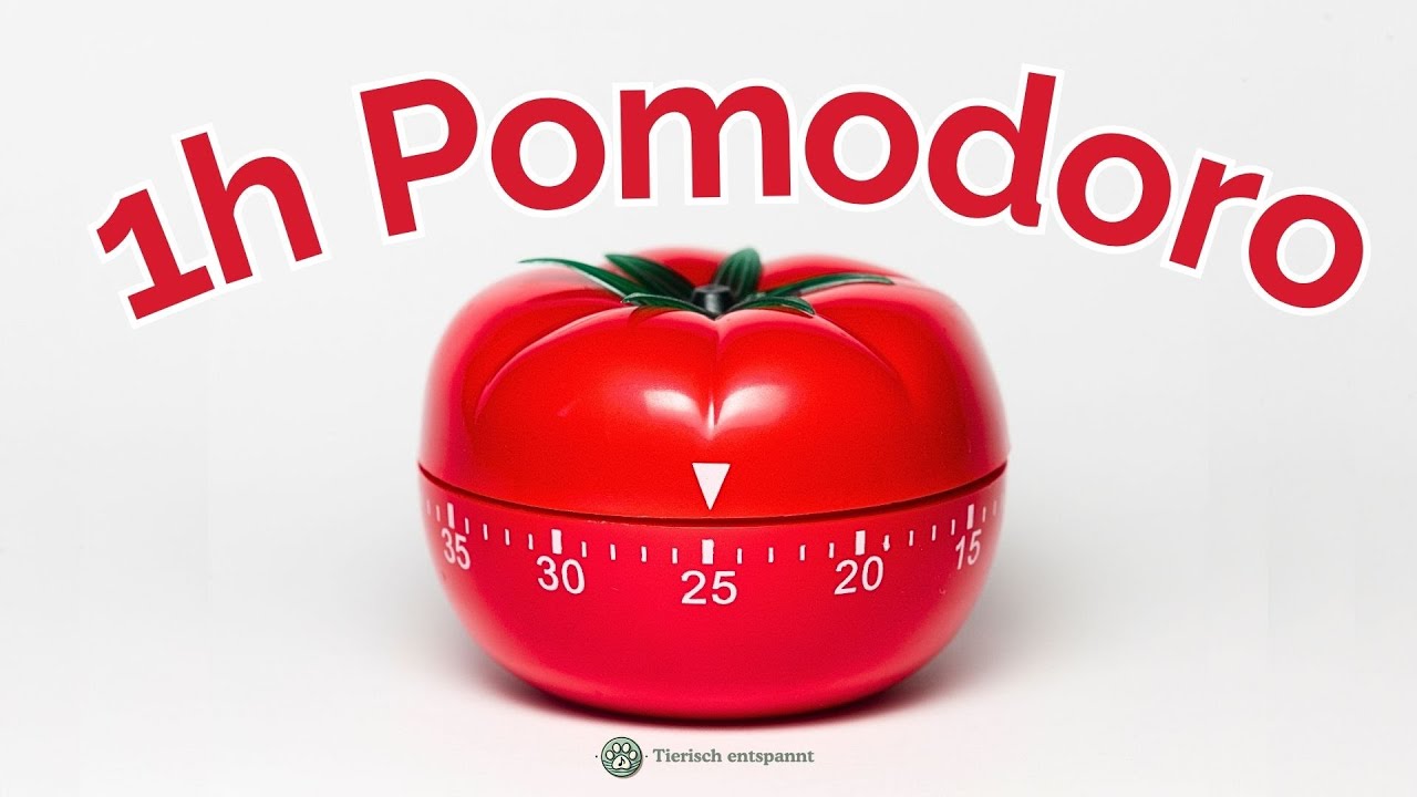 Lernen mit Pomodoro Timer 25/5 | Konzentration mit der Pomodoro-Technik für Klausuren und Studium