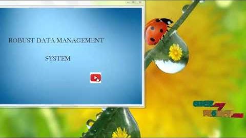 Final Year Projects | Robust module based Data Management System