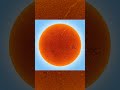 I DO point my telescope at the sun...just not the big one...with a proper solar filter of course. 😁