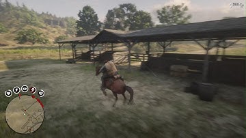 Incredibly rare double kill cam