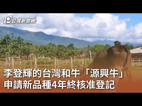 李登輝的台灣和牛「源興牛」 申請新品種4年終核准登記｜20240620 公視中晝新聞