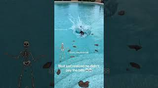 Part 9 #funny #cat#OddlySatisfying