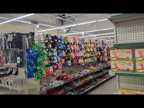 Dollar Tree Stores In Ct