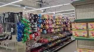 Biggest dollar tree in Connecticut 