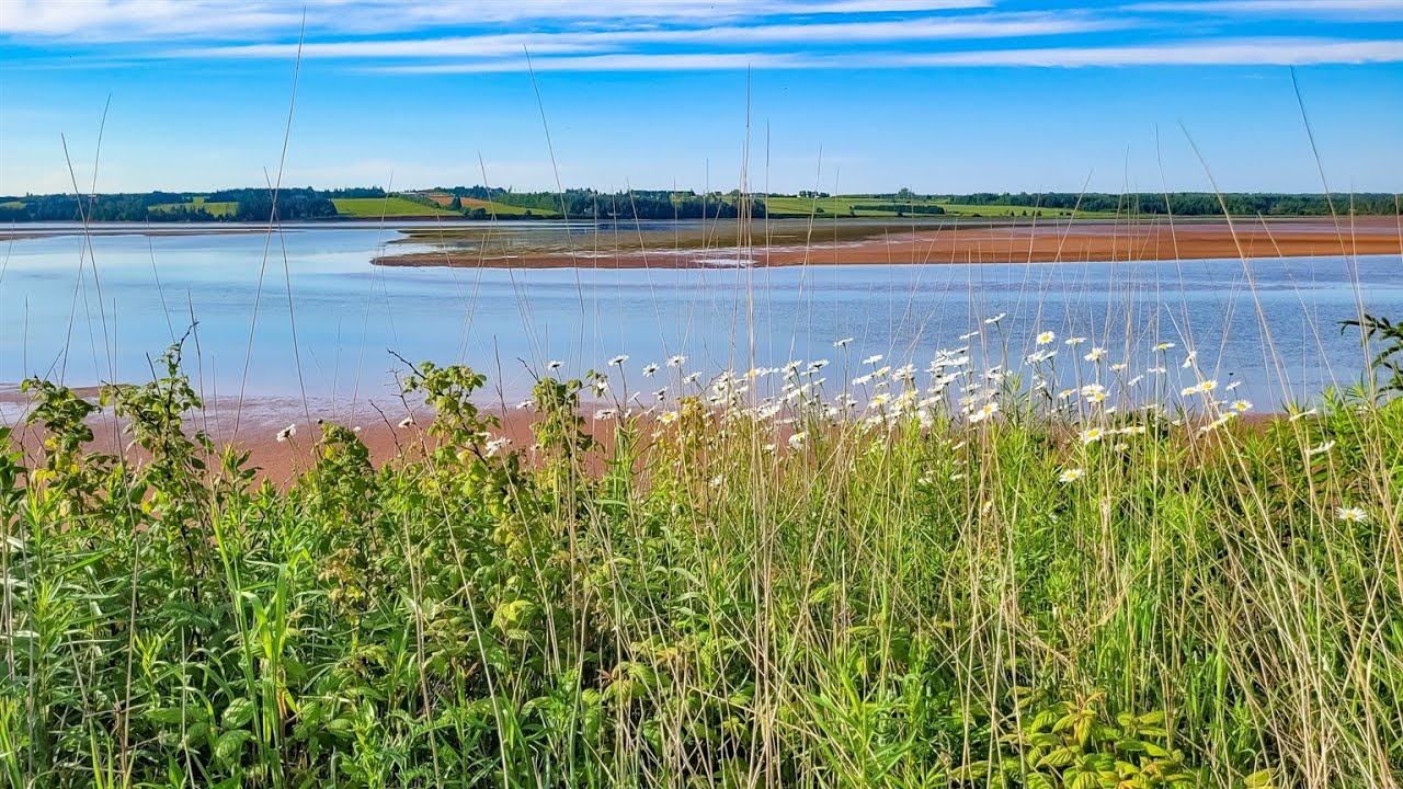 Two Waterfront Lots Aitken Lane, Fortune, PEI YouTube