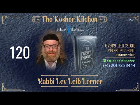 Location and Preparation for Tevilah - Kosher Kitchen (120)