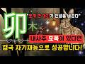 ✨내 사주[卯木] 묘목! 토끼 한 마리가 성공을 부른다-재능은 이미 타고 났다.