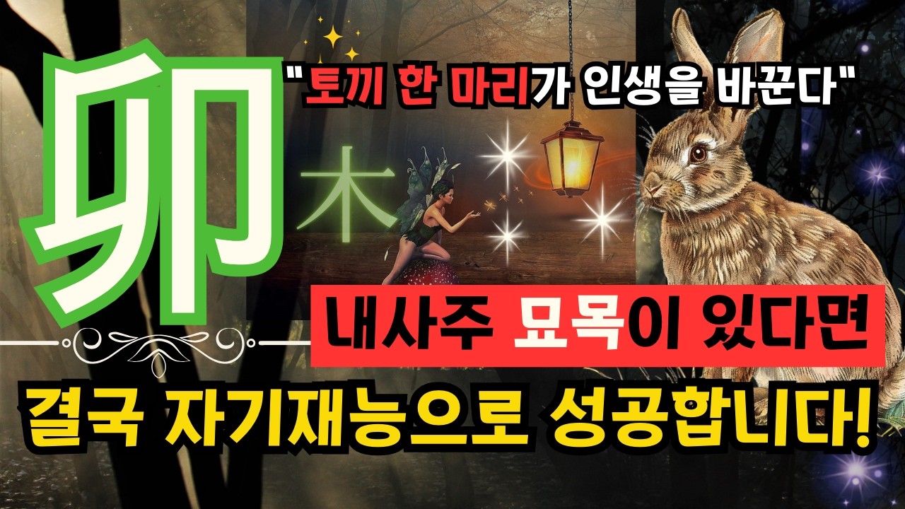 ✨내 사주[卯木] 묘목! 토끼 한 마리가 성공을 부른다-재능은 이미 타고 났다.