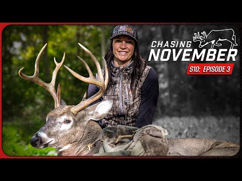 E3: Acorn Stud In New York, Buck Activity Explodes | Chasing November Season 10