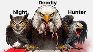 Every most Powerful Birds In the worlds Explained in 8 minutes