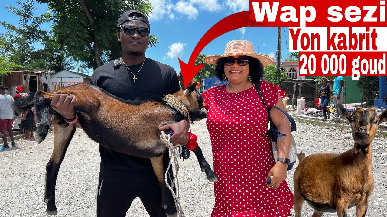 Vin gade pou konbyen kòb mwen achete yon kabrit nan maché ducis