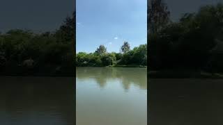 Doğanın Güzelliği Rahatlatıcı Kuş Sesleri