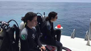 Famous Dive 1 Michelle Nicole Gear Up Profile